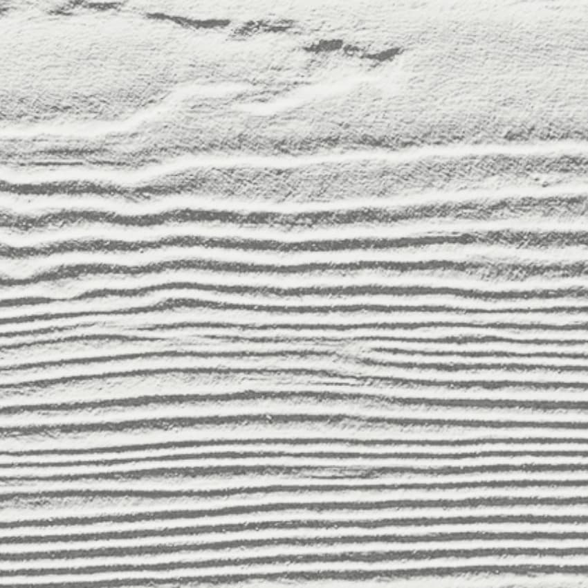 Arctic White
